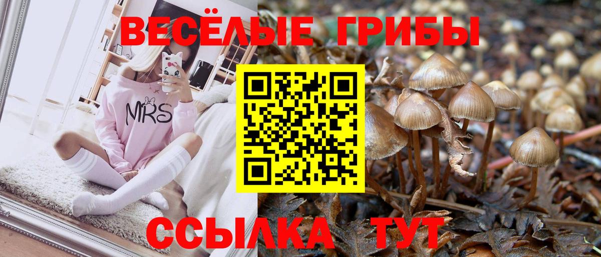 Лиски  Галлюциногенные грибы мухоморы  Вход с VPN 