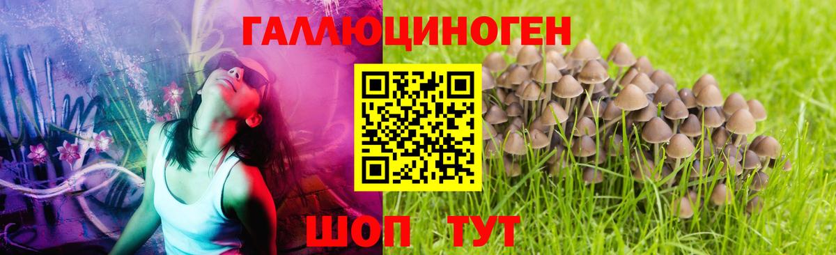 Галлюциногенные грибы Magic Shrooms Лиски